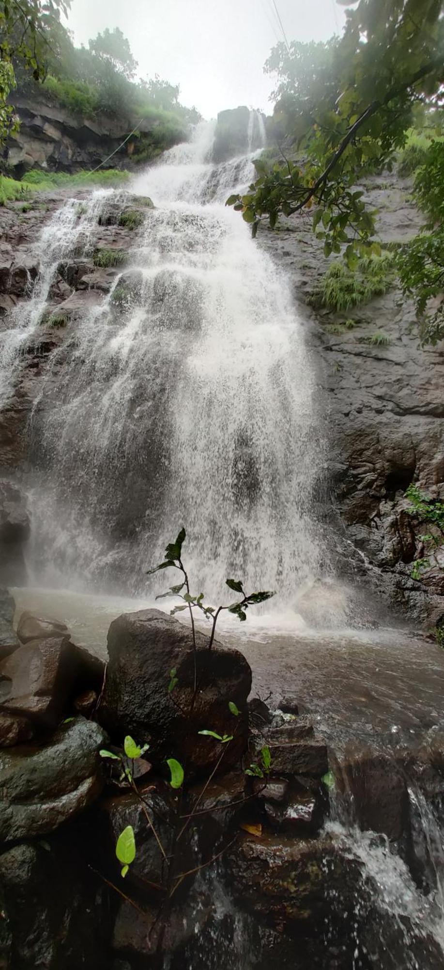 Forest Den Villa Pune Dış mekan fotoğraf